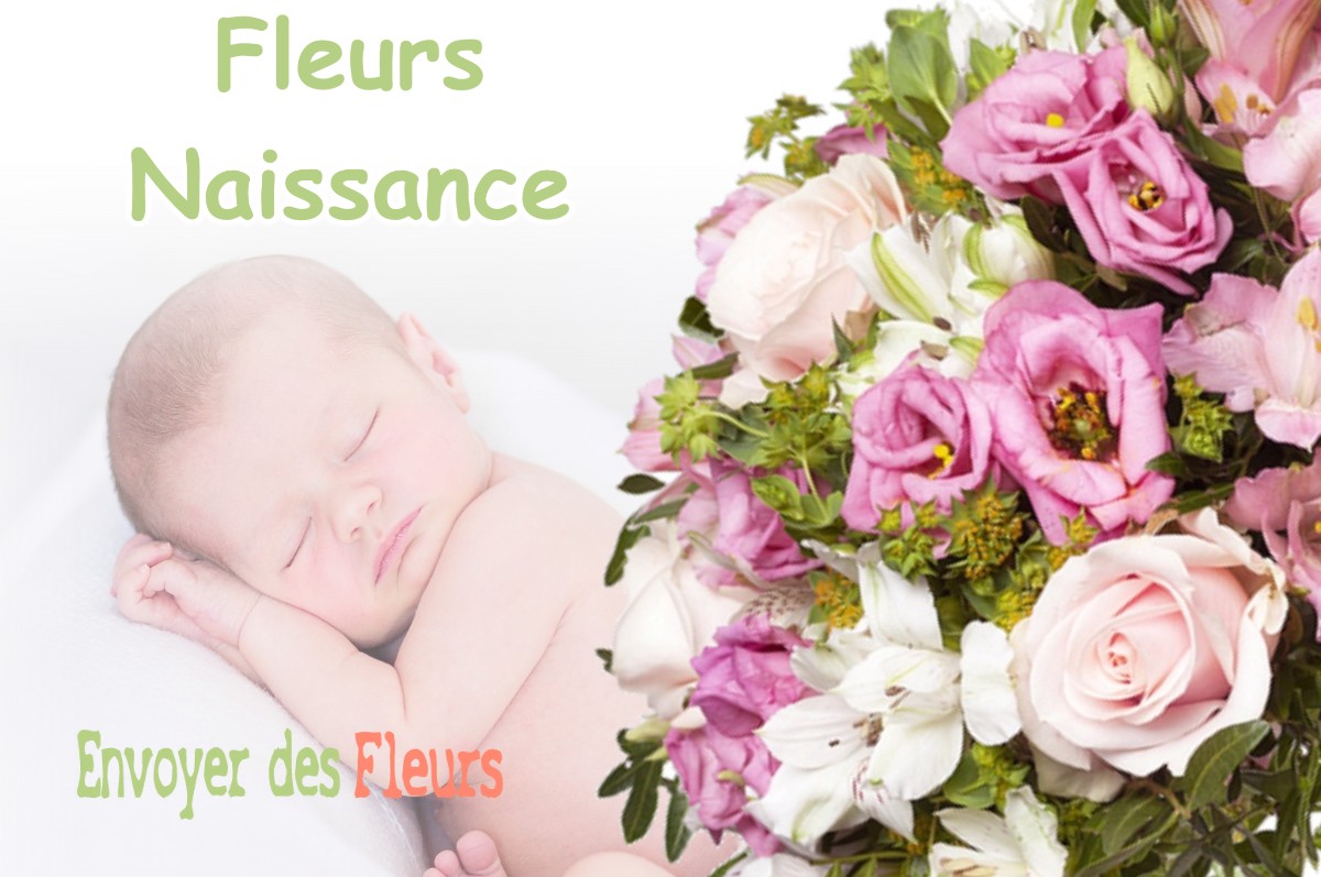 lIVRAISON FLEURS NAISSANCE à SAINT-CRICQ-DU-GAVE