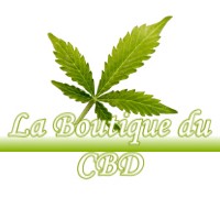 LA BOUTIQUE DU CBD SAINT-CRICQ-DU-GAVE 